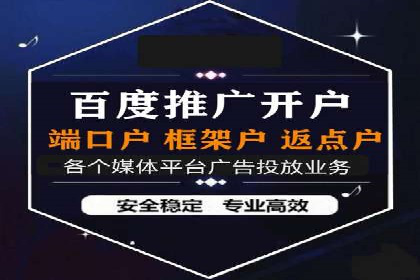 SEM服务案例：助力企业拓展海外市场